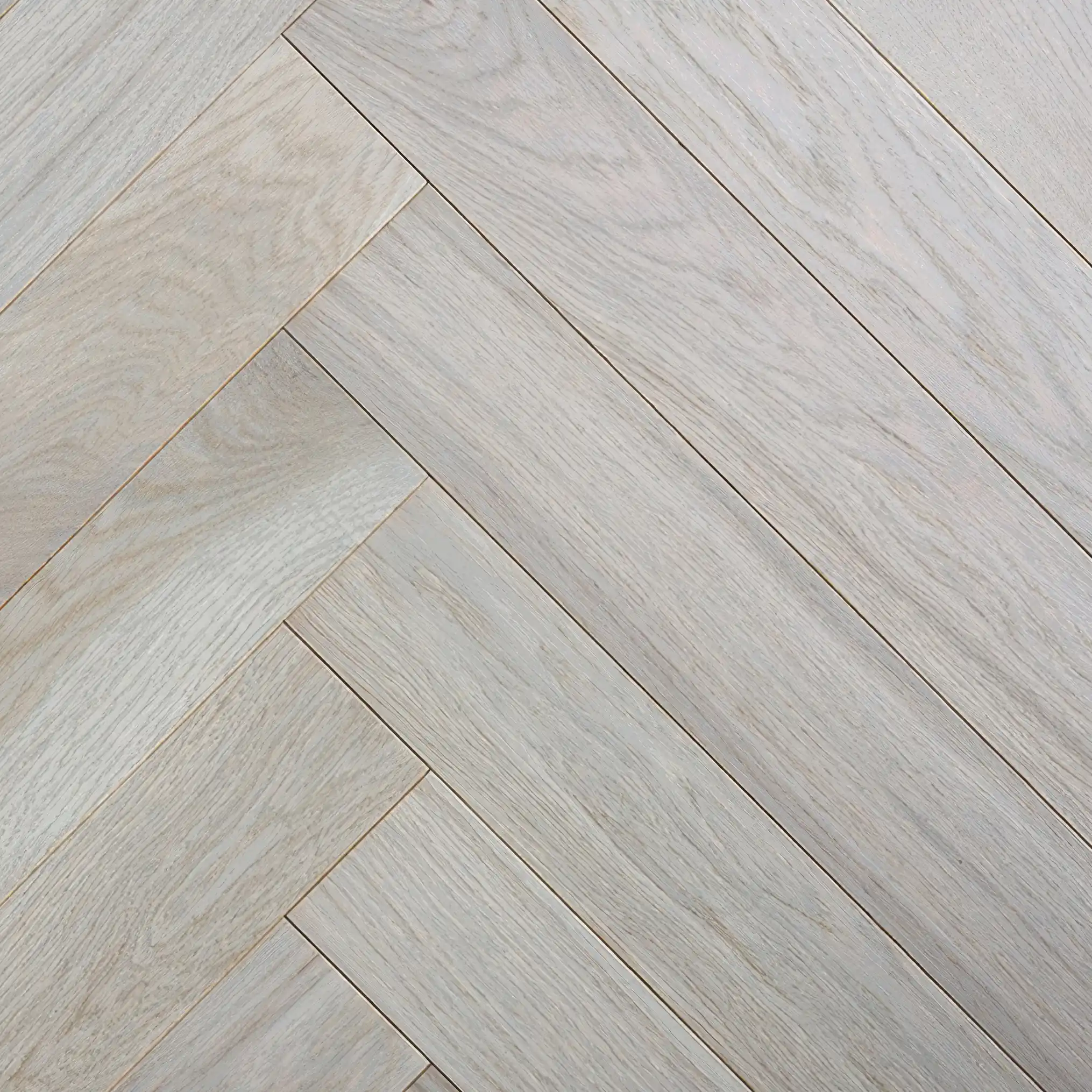 seraya-pejna-2030×2030-1