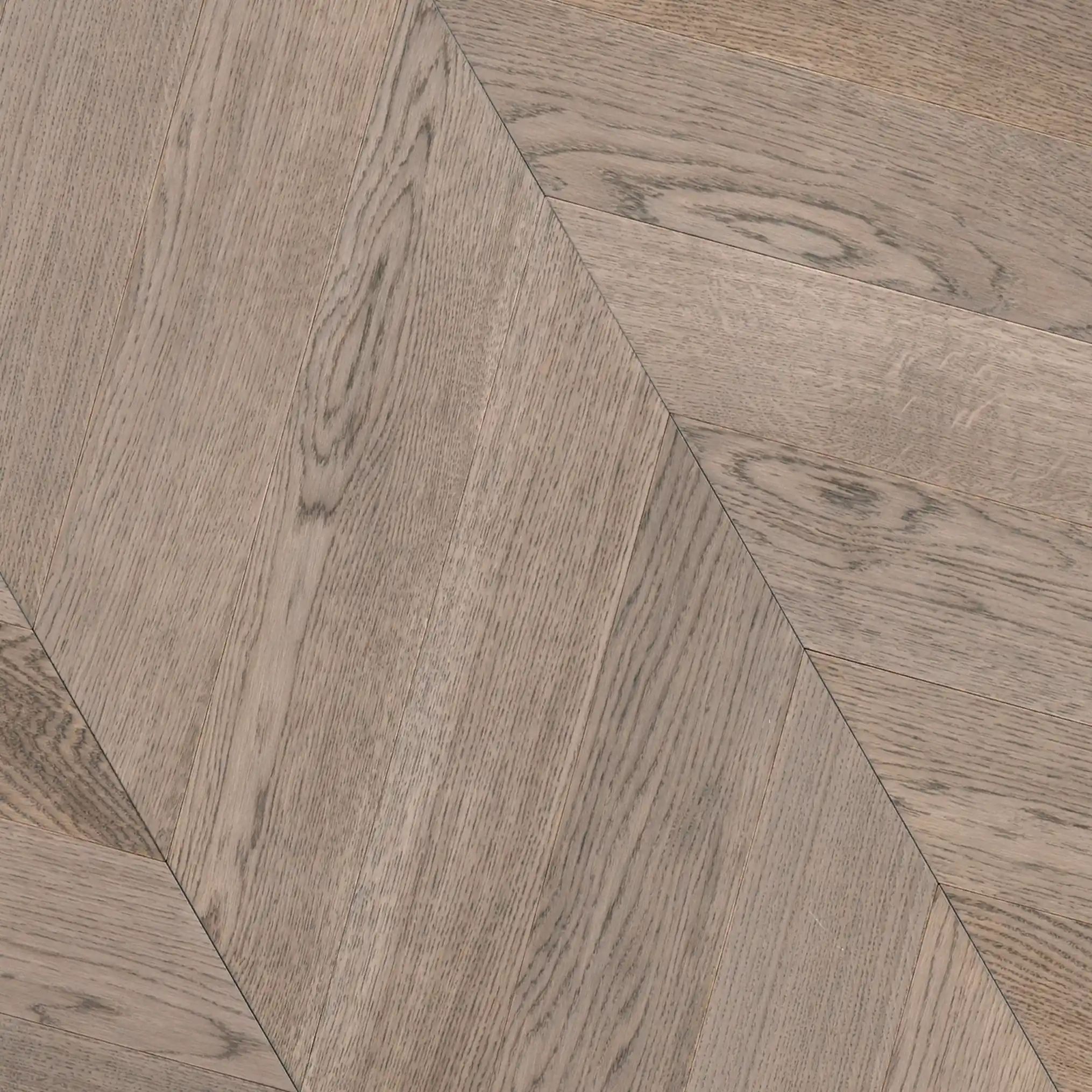 shambor-2030×2030-1