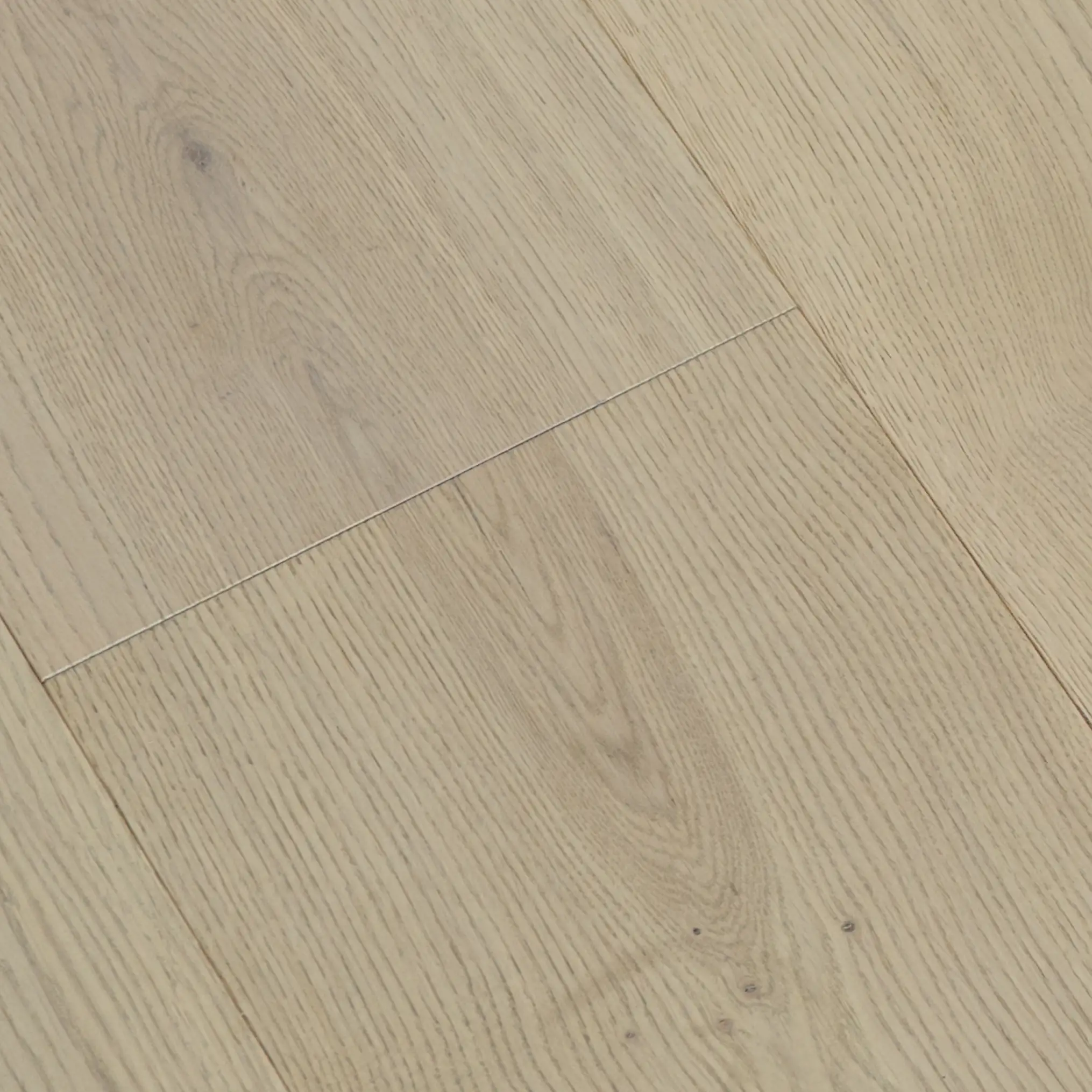 slonovaya-kost-2030×2030-1